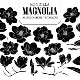 Album cover of Magnolia (feat. Alonzo Mori & Ticofaces)
