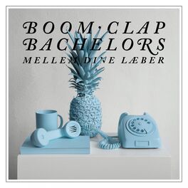 Album cover of Mellem Dine Læber