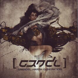 Album cover of Harsh Generation