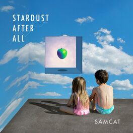 Album cover of Stardust After All