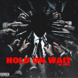 Album cover of Hold on wait (feat. L5 & LilD5)