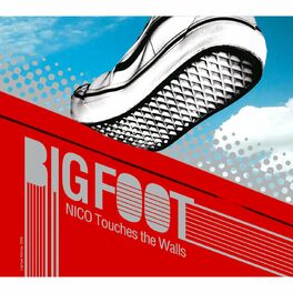 Album cover of Big Foot