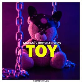 Album cover of Toy