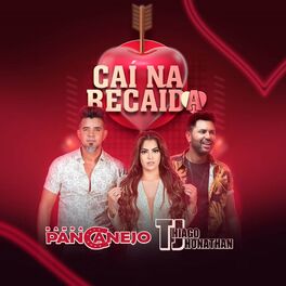 Album cover of Caí na Recaída