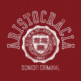 Album cover of Sonido Criminal (feat. Rayone & Apache)