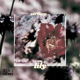 Album cover of lily