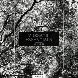 Album cover of Vursatil Essentials 08