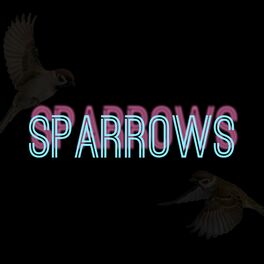 Album cover of Sparrows