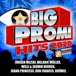 Album cover of Big Promi Hits 2020 Powered by Xtreme Sound