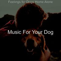 Music for deals dogs home alone