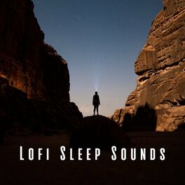 Album cover of Lofi Sleep Sounds: Calming Rhythms for Nighttime Rest