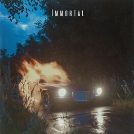 Album picture of Immortal (feat. Dylan Reese)