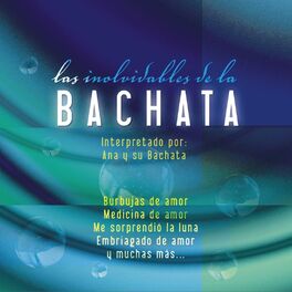 Album cover of Los Inolvidables De La Bachata