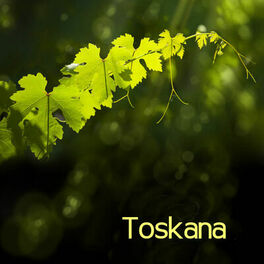 Album cover of Toskana Klaviermusik - Italienische Musik