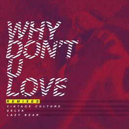 Album cover of Why Don't U Love (Remixes)