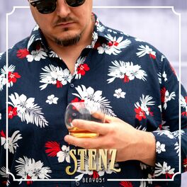 Album cover of Stenz