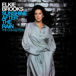 Album cover of Sunshine After The Rain: The Collection