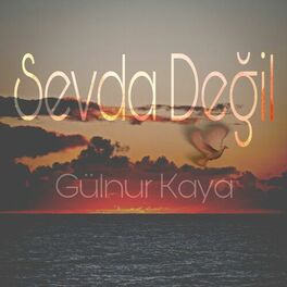 Album cover of Sevda Değil