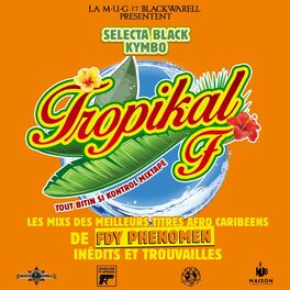 Album cover of Tropikal F : Tout Bitin Si Kontrol