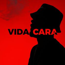 Album cover of Vida Cara