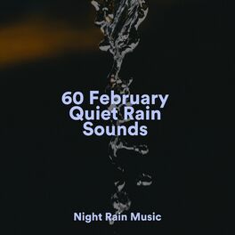 Album cover of 60 February Quiet Rain Sounds
