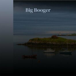 Album cover of Big Booger