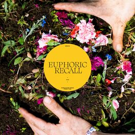 Album cover of Euphoric Recall