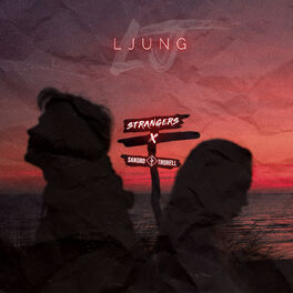 Album cover of Strangers