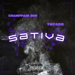 Album cover of Sativa