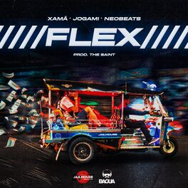 Album cover of Flex