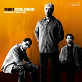 Album cover of Steady Groovin'