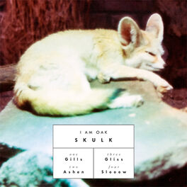 Album cover of Skulk