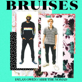 Album cover of Bruises