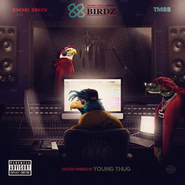 Album cover of 88 Birdz