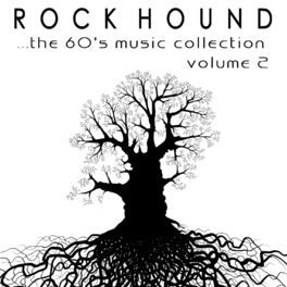 Album cover of Rock Hound: The 60's Music Collection, Vol. 2