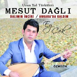 Album cover of Ey Çek / Dalımın İnciri (Ankarada Kaldım)