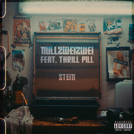 Album cover of Stein (feat. THRILL PILL)