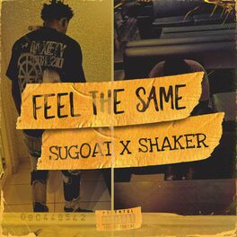 Album cover of Feel The Same (feat. Shaker)