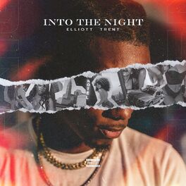 Album cover of Into the Night