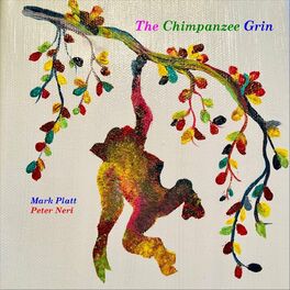 Album cover of The Chimpanzee Grin