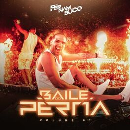 Album cover of Baile do Perna Vol 1