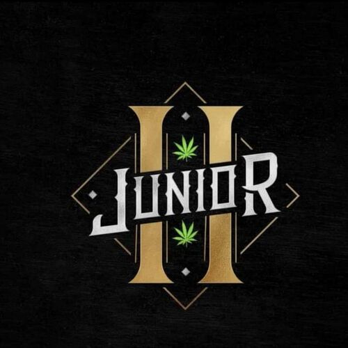 Junior H - El King: lyrics and songs | Deezer