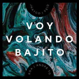 Album cover of Voy Volando Bajito