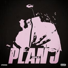 Album cover of Plan J