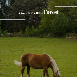 Album cover of A Walk In The Black Forest