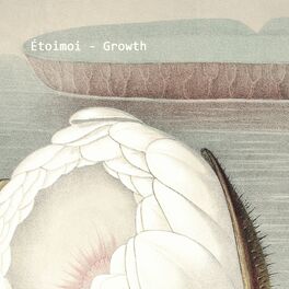 Album cover of Growth