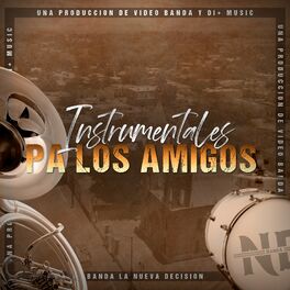 Album cover of Instrumentales Pa los Amigos
