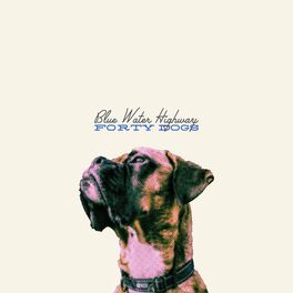 Album cover of 40 Dogs