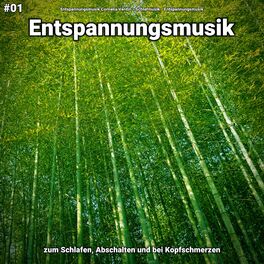 Album cover of #01 Entspannungsmusik zum Schlafen, Abschalten und bei Kopfschmerzen