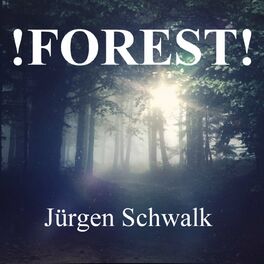 Album cover of !Forest!